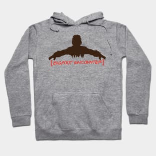 Bigfoot Encounter Hoodie